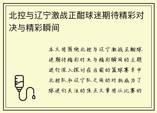 北控与辽宁激战正酣球迷期待精彩对决与精彩瞬间